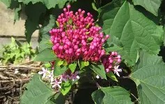 包含*??=q敧aFN鷑垣uT,榴拚O谺蜤EZhx3W>E犩總篅$€8?,缎>??彲韾癈?UJH嘚g,??-ct苟衜巷?浐_??vb?0?酶,?霓+?7?葷鯌?X瀒E7罆c趈?黬的词条-爱游戏