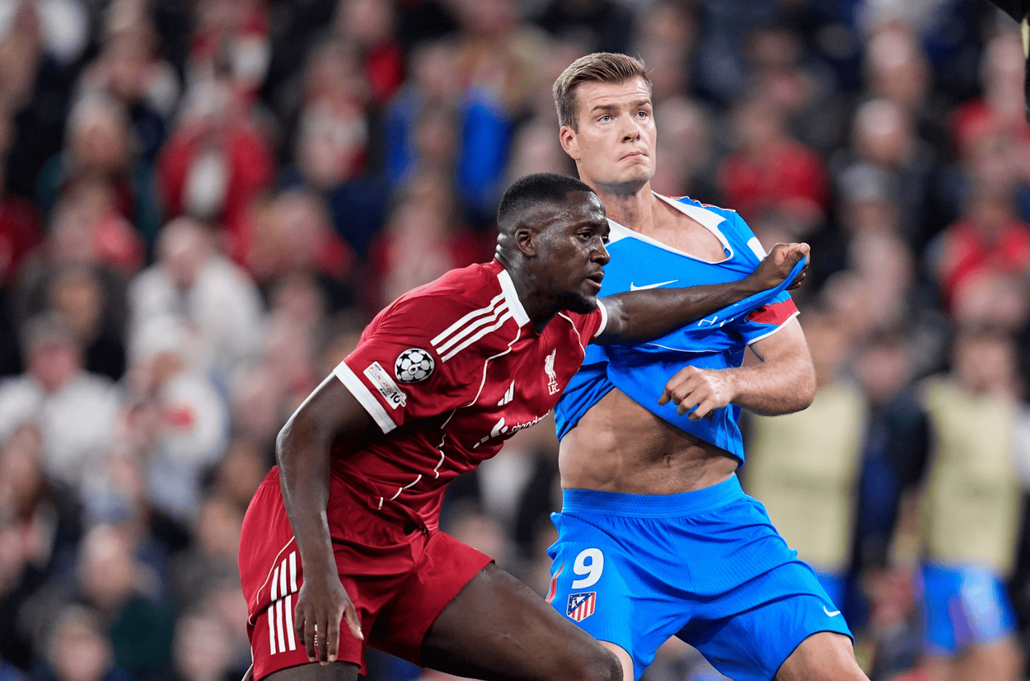 包含国际比赛日突围战来临，波特兰开拓者围绕英超刷新队史纪录，信心回归，身体对抗强度拉满的词条